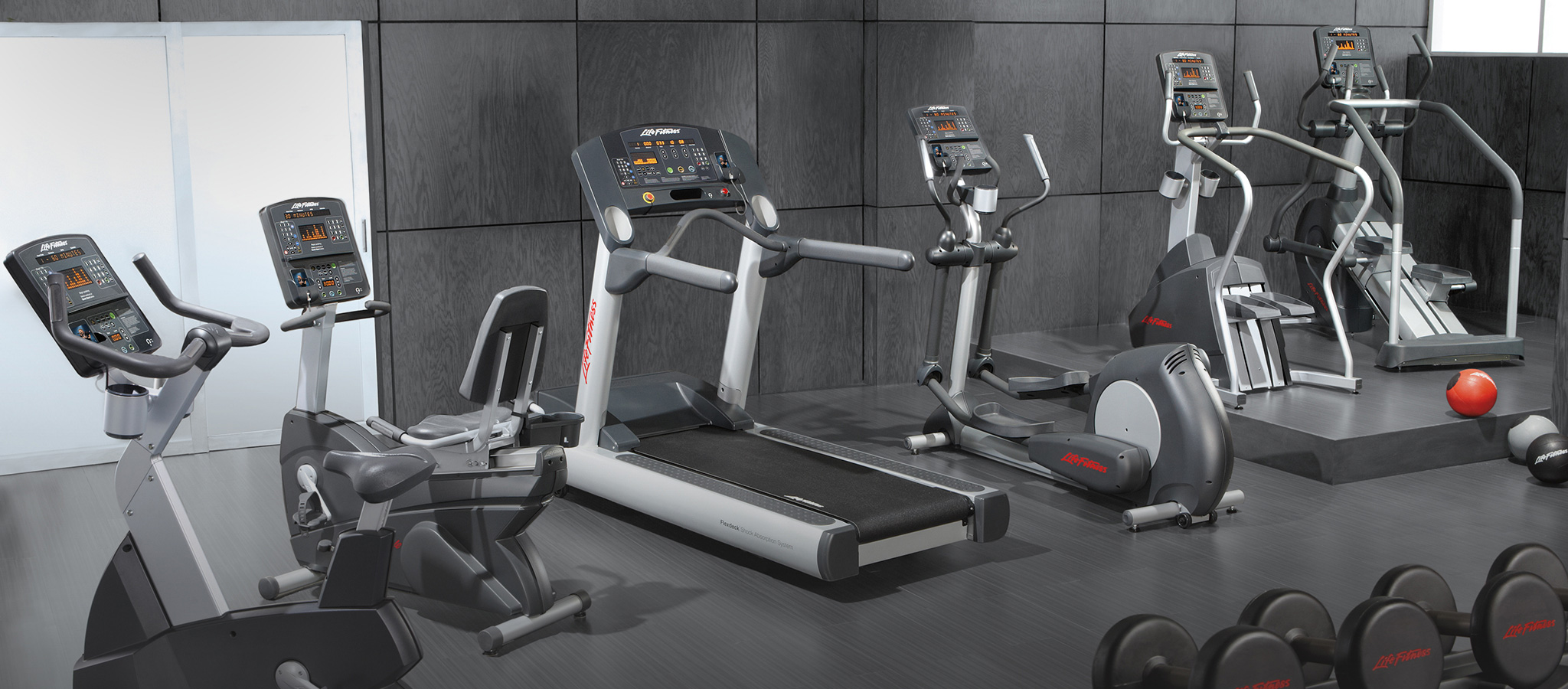 Elite Gym Equipment International Miami, FL