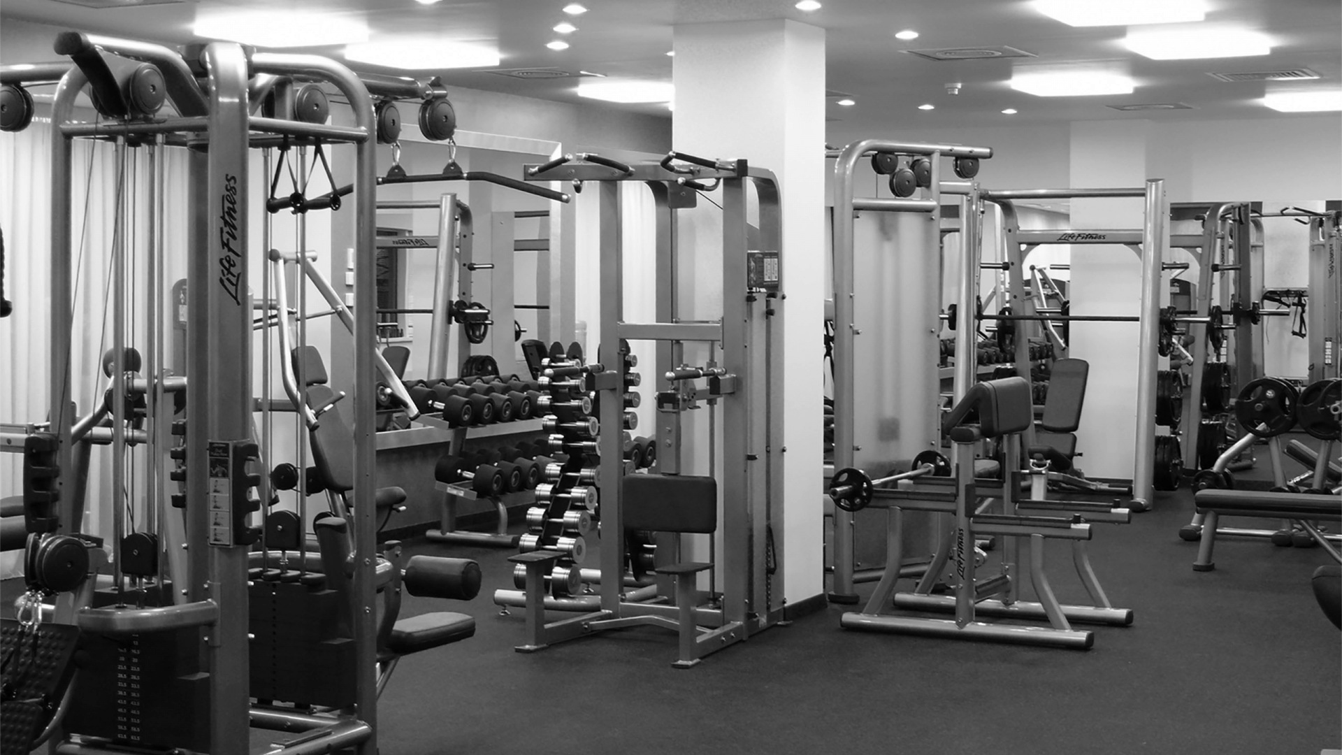 Elite Gym Equipment International Miami, FL