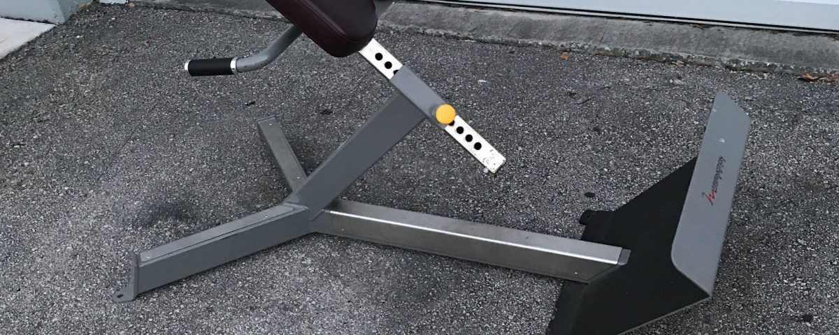 FreeMotion Epic Hyper Extension Bench