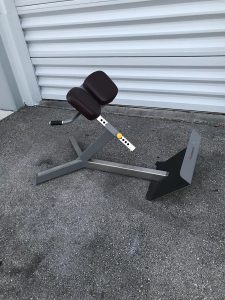 FreeMotion Epic Hyper Extension Bench