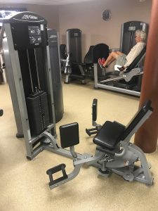 Life Fitness Dual Adductor and Abductor